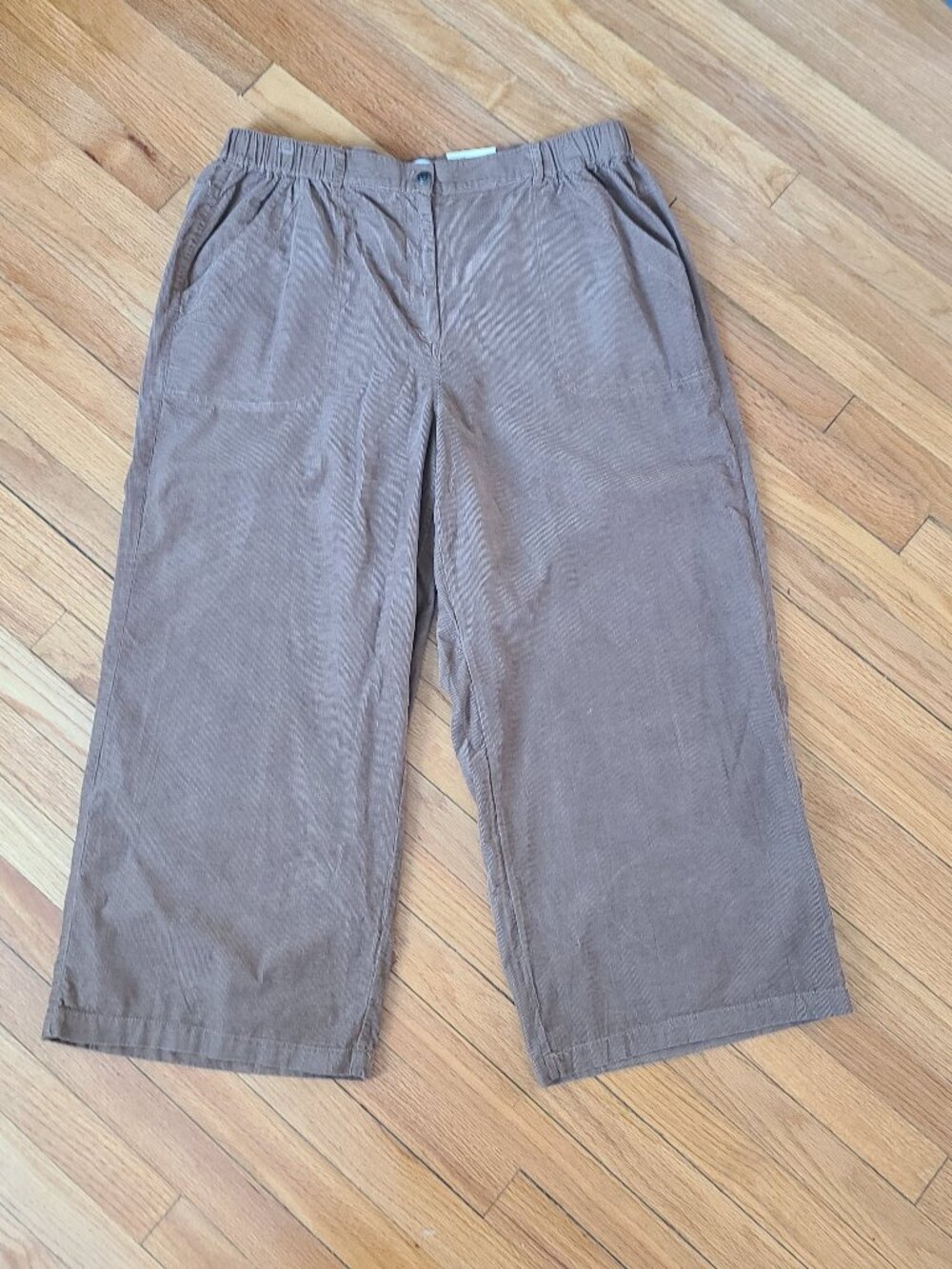 NWT Max Studio London Corduroy Cropped Wide Leg Trousers Dark Academia Plus 2X